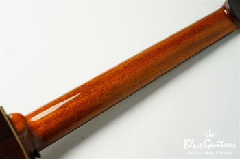 aNN-LS700 Design by Luthier Sugita Kenji