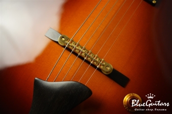 ER-1 Standard Jazz - Sunburst