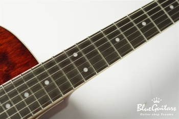 HAWK-STD/DEEP-JT - AR