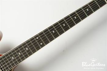 EXRUBATO-STD-JT - AR