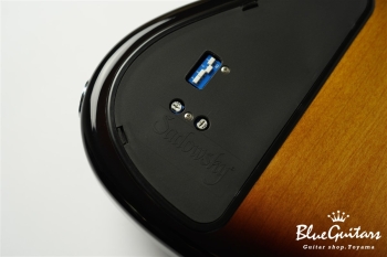 ML22 WL4 ALDER - 59 Burst Trtansparent