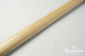 ML22 WL4 ALDER - 59 Burst Trtansparent