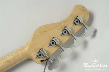 ML22 WL4 ALDER - 59 Burst Trtansparent