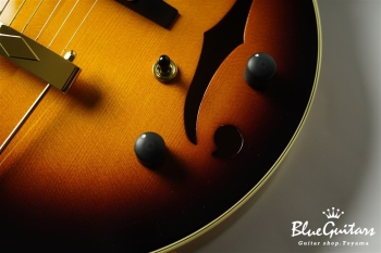 Ladybug SM-C DP - Vintage Sunburst #RZ0588