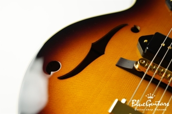 Ladybug SM-C DP - Vintage Sunburst #RZ0588