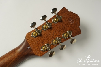 OM-260CE DELUXE BLACKWOOD - Natural