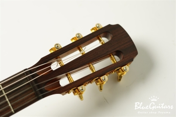 guitar 14f std. g sh - Sitka Spruce / Indian Rosewood