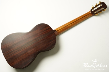 guitar 14f std. g sh - Sitka Spruce / Indian Rosewood