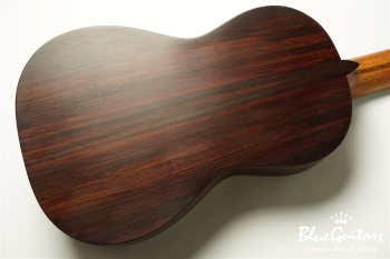 guitar 14f std. g sh - Sitka Spruce / Indian Rosewood