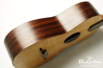 guitar 14f std. g sh - Sitka Spruce / Indian Rosewood