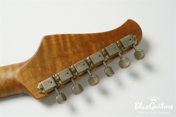 XSC-2 - Aztec Gold over 2TB / Heavy Aged / Alder / Rosewood / Roasted Flame Maple Neck #2930