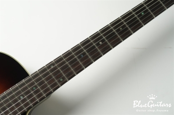 Ladybug SM-TBC - Vintage Sunburst #RZ0606