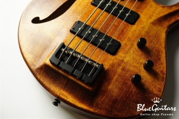 TEMPESTA 5st Fretless - Organic Texture