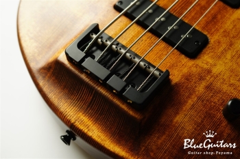TEMPESTA 5st Fretless - Organic Texture