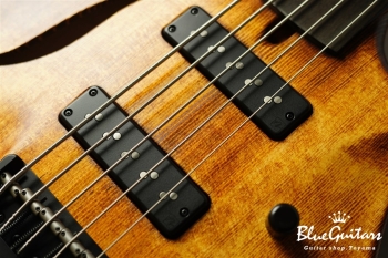 TEMPESTA 5st Fretless - Organic Texture