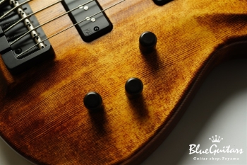 TEMPESTA 5st Fretless - Organic Texture