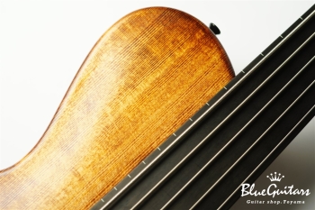 TEMPESTA 5st Fretless - Organic Texture