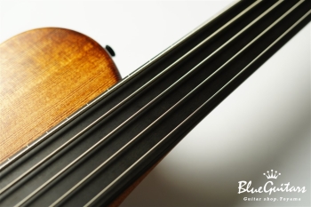 TEMPESTA 5st Fretless - Organic Texture