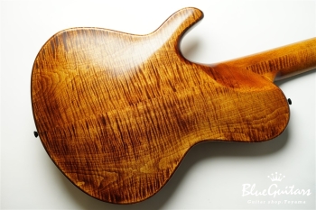 TEMPESTA 5st Fretless - Organic Texture