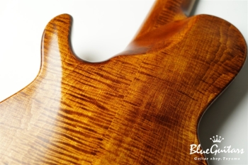TEMPESTA 5st Fretless - Organic Texture