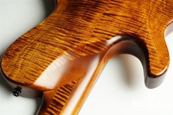 TEMPESTA 5st Fretless - Organic Texture