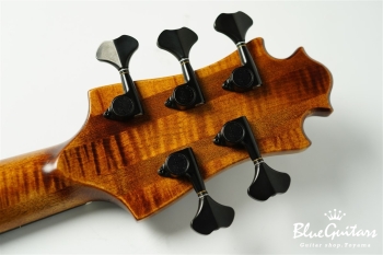TEMPESTA 5st Fretless - Organic Texture