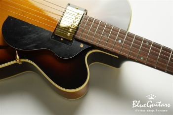 Ladybug SM-C HB - Vintage Sunburst