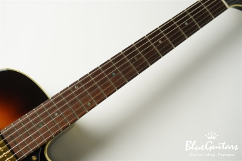 Ladybug SM-C HB - Vintage Sunburst