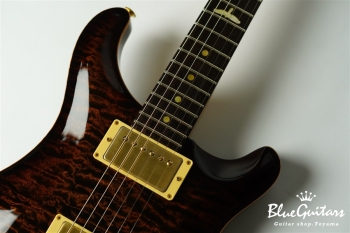 Private Stock #1784 McCarty Trem w/DGT electronics - Tiger Eye Burst