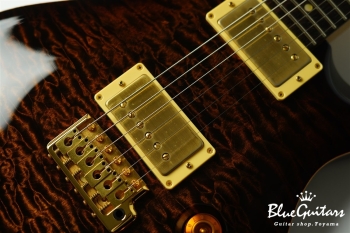 Private Stock #1784 McCarty Trem w/DGT electronics - Tiger Eye Burst