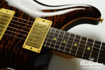 Private Stock #1784 McCarty Trem w/DGT electronics - Tiger Eye Burst