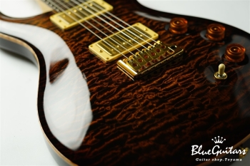 Private Stock #1784 McCarty Trem w/DGT electronics - Tiger Eye Burst