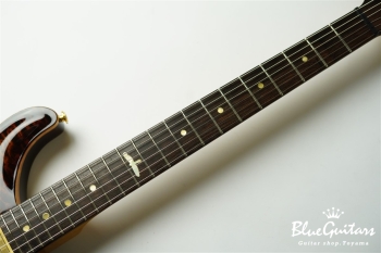 Private Stock #1784 McCarty Trem w/DGT electronics - Tiger Eye Burst