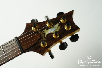 Private Stock #1784 McCarty Trem w/DGT electronics - Tiger Eye Burst