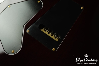 Private Stock #1784 McCarty Trem w/DGT electronics - Tiger Eye Burst