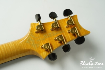 Private Stock #1784 McCarty Trem w/DGT electronics - Tiger Eye Burst