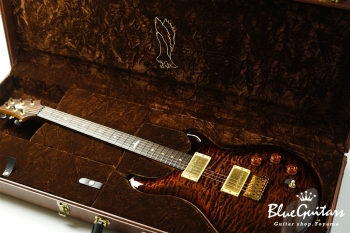 Private Stock #1784 McCarty Trem w/DGT electronics - Tiger Eye Burst