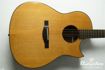 Acoustic Model AD. Cutaway Cedar/Indian Rosewood