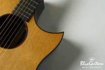 Acoustic Model AD. Cutaway Cedar/Indian Rosewood