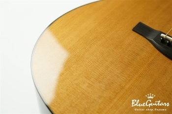 Acoustic Model AD. Cutaway Cedar/Indian Rosewood
