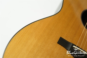 Acoustic Model AD. Cutaway Cedar/Indian Rosewood