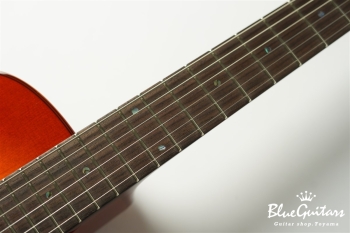 Ladybug SM-C (P-90) - RT Burst #RZ0642