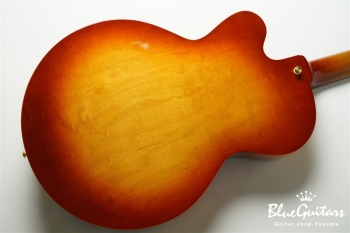 Ladybug SM-C (P-90) - RT Burst #RZ0642