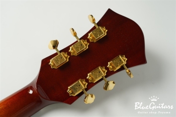 Ladybug SM-C HB - RT Burst #RZ0652