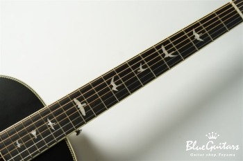 SE P20 - Satin Black Top