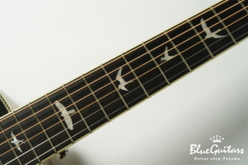 SE P20 - Satin Black Top