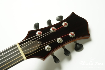 Wagtail 15″ Spruce Top / Figured Maple Side&Back