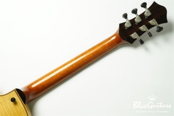 Wagtail 15″ Spruce Top / Figured Maple Side&Back