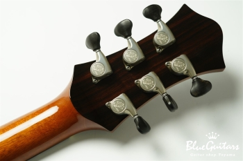 Wagtail 15″ Spruce Top / Figured Maple Side&Back