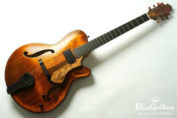 Arcus Archtop  - Organic Texture
